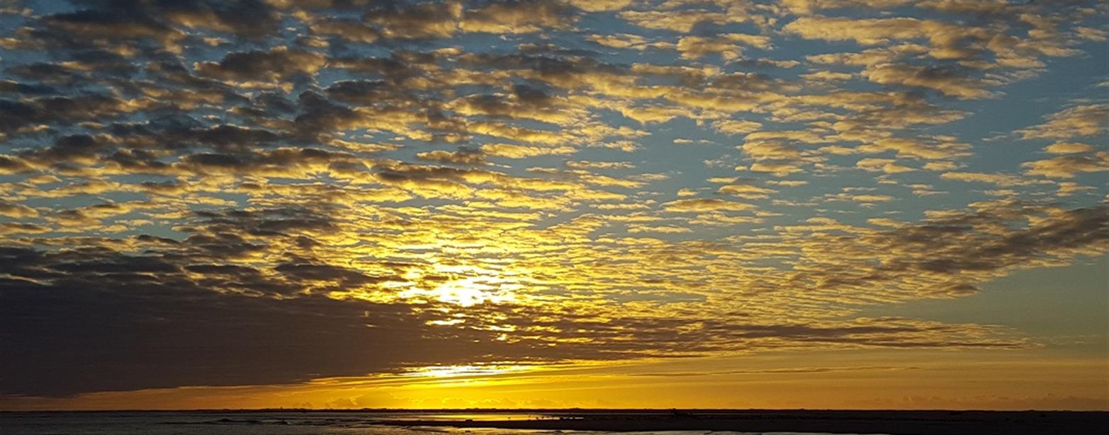 camping naturisme les Mathes La Palmyre royan Charente maritime